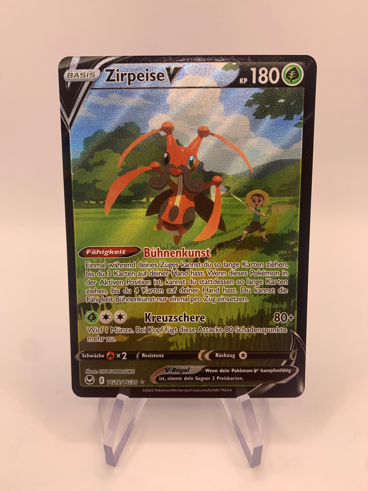 Pokémon Card V Chirpeise TG12/TG30 German