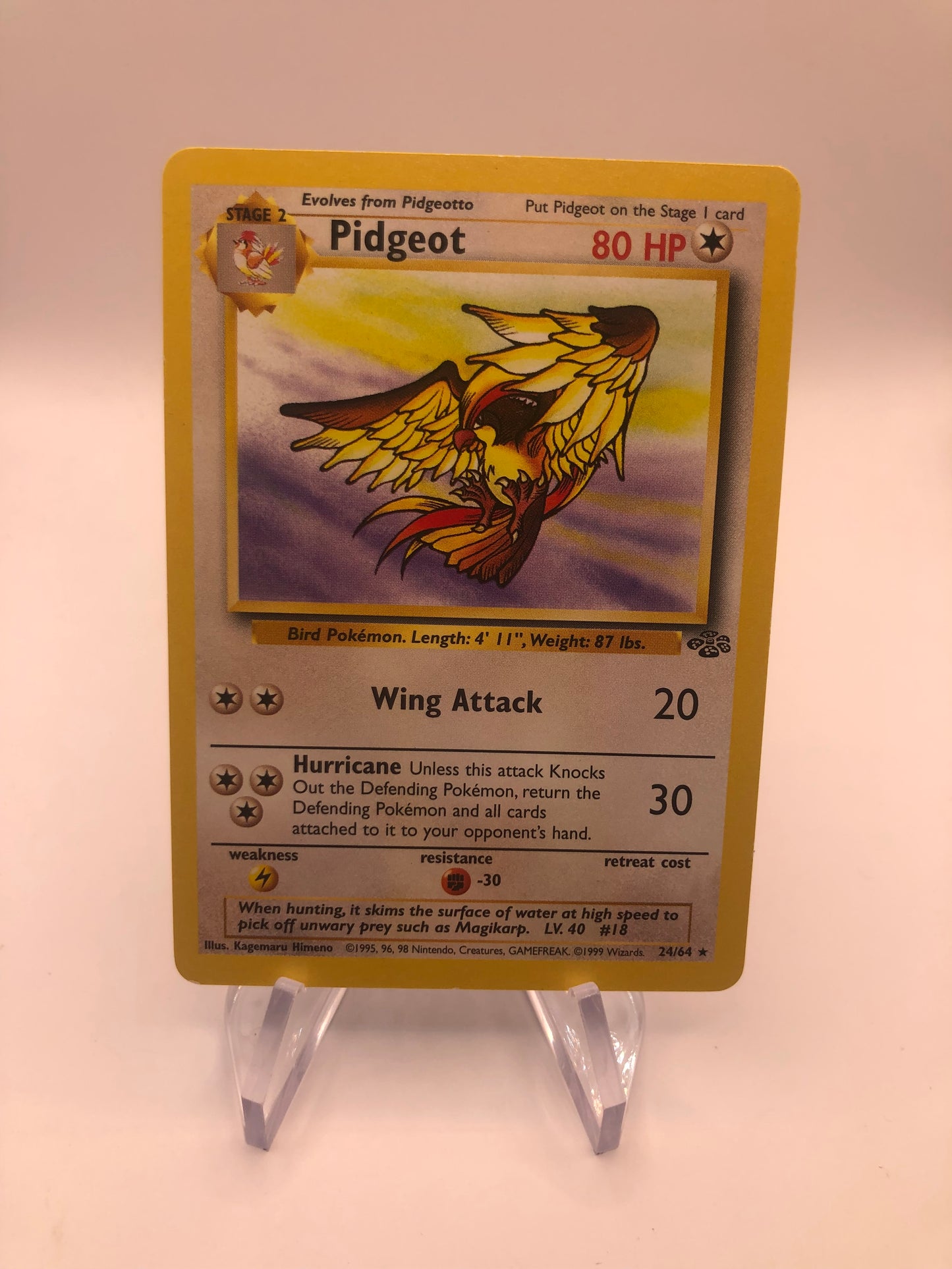 Pokemon Karte Jungel Tauboss 24/64 Englisch