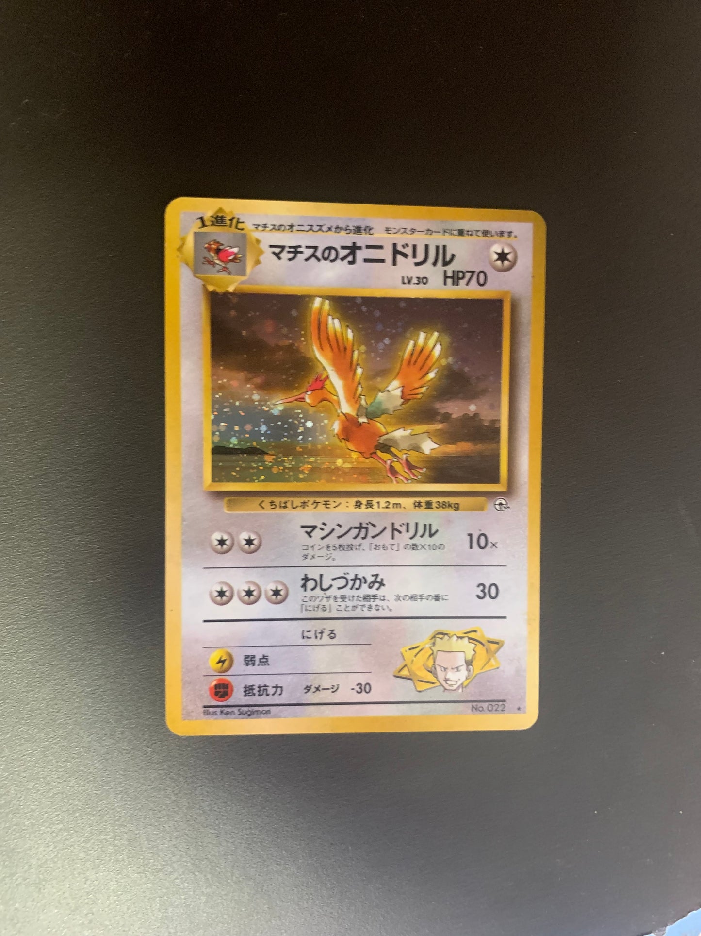 Pokemon Karte Holo Major Bon Ibitak No.22 Japanisch