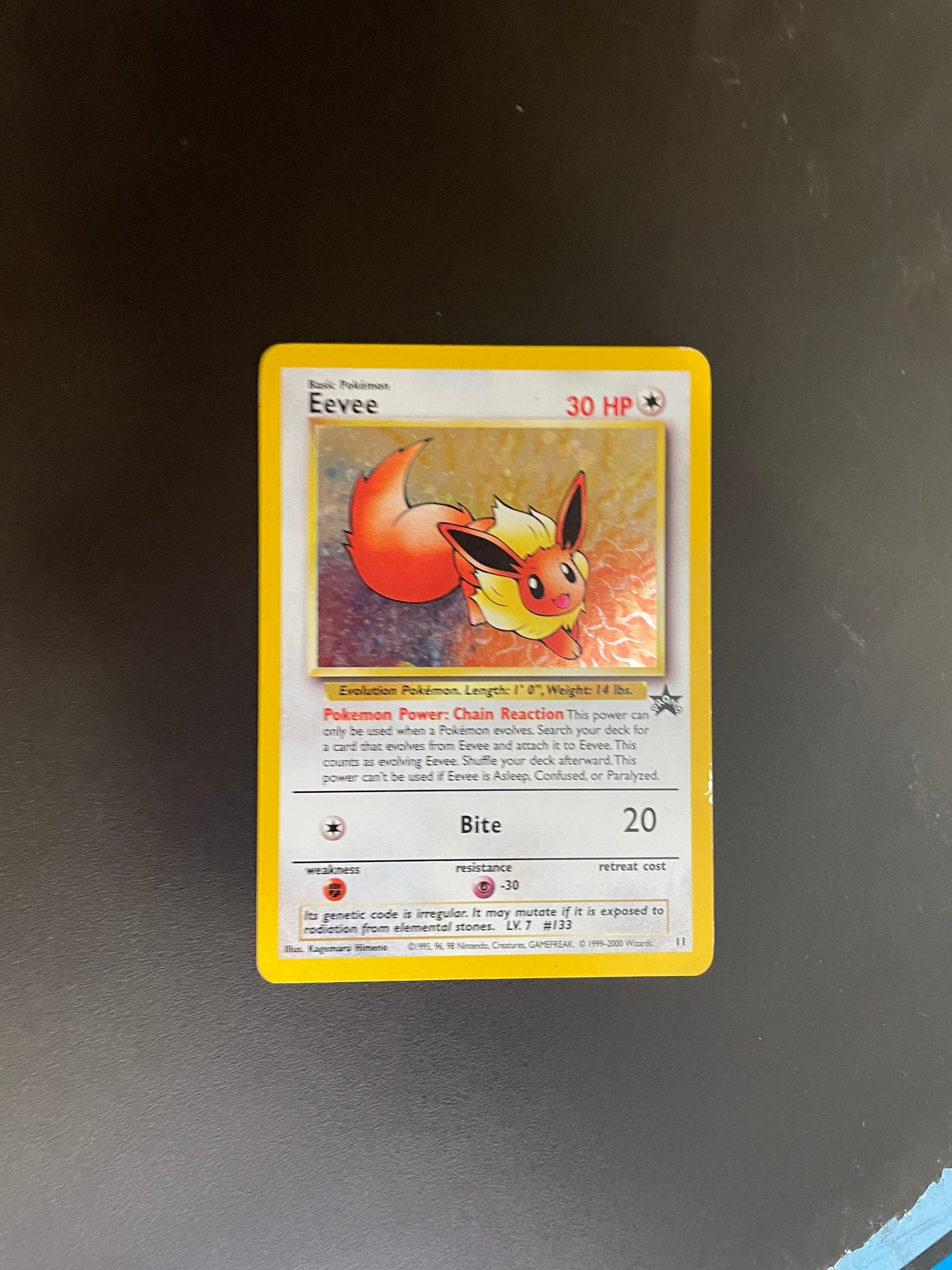 Pokemon Karte Promo Holo Evoli 11 Englisch