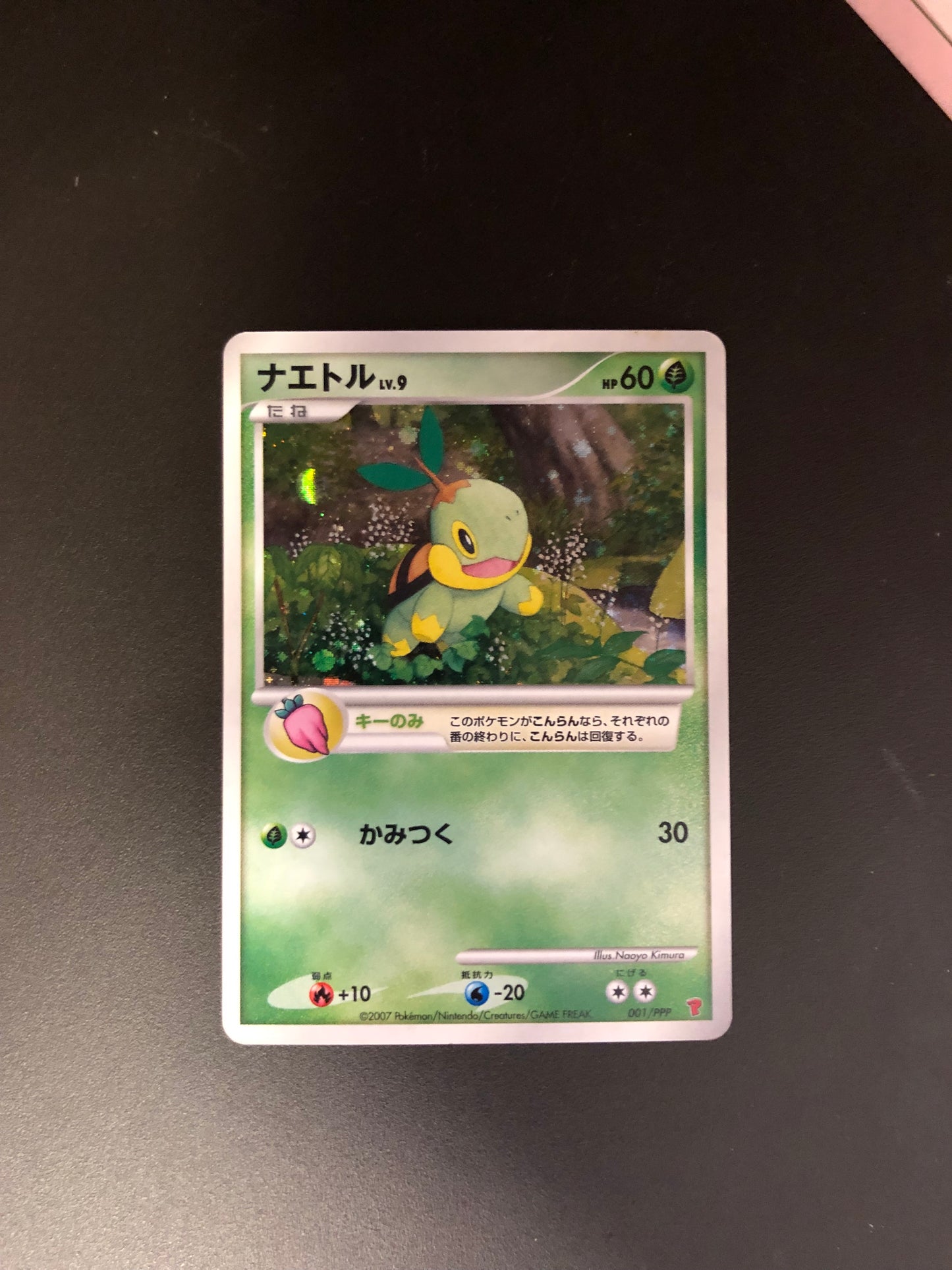 Pokemon Karten Holo Chelast 001/PPP Japanisch