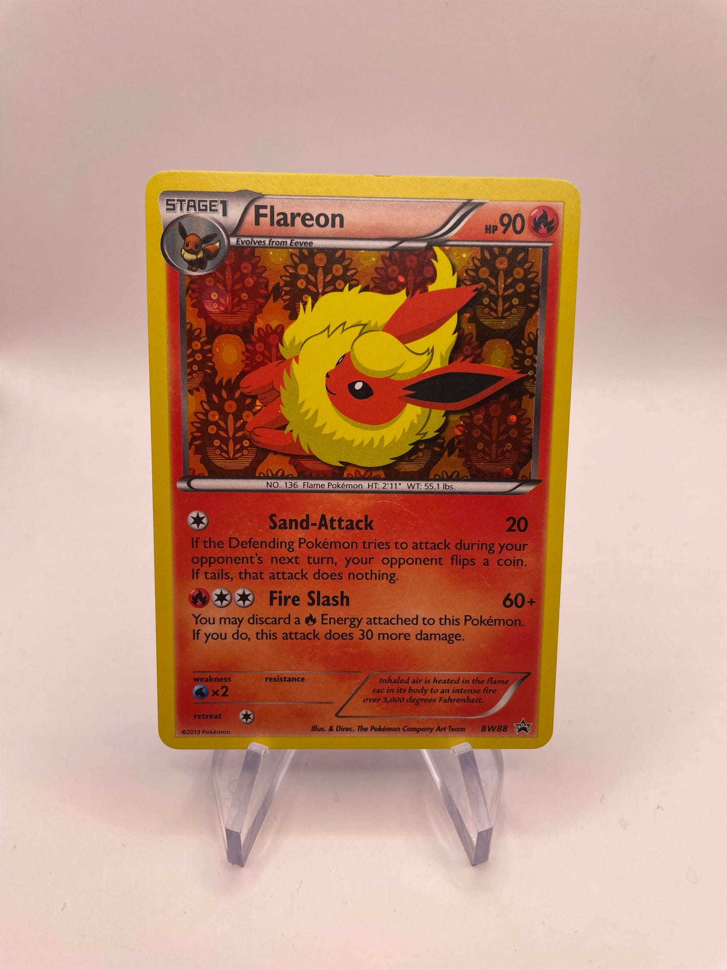Pokemon Karte Holo Promo Flamara BW88 Englisch