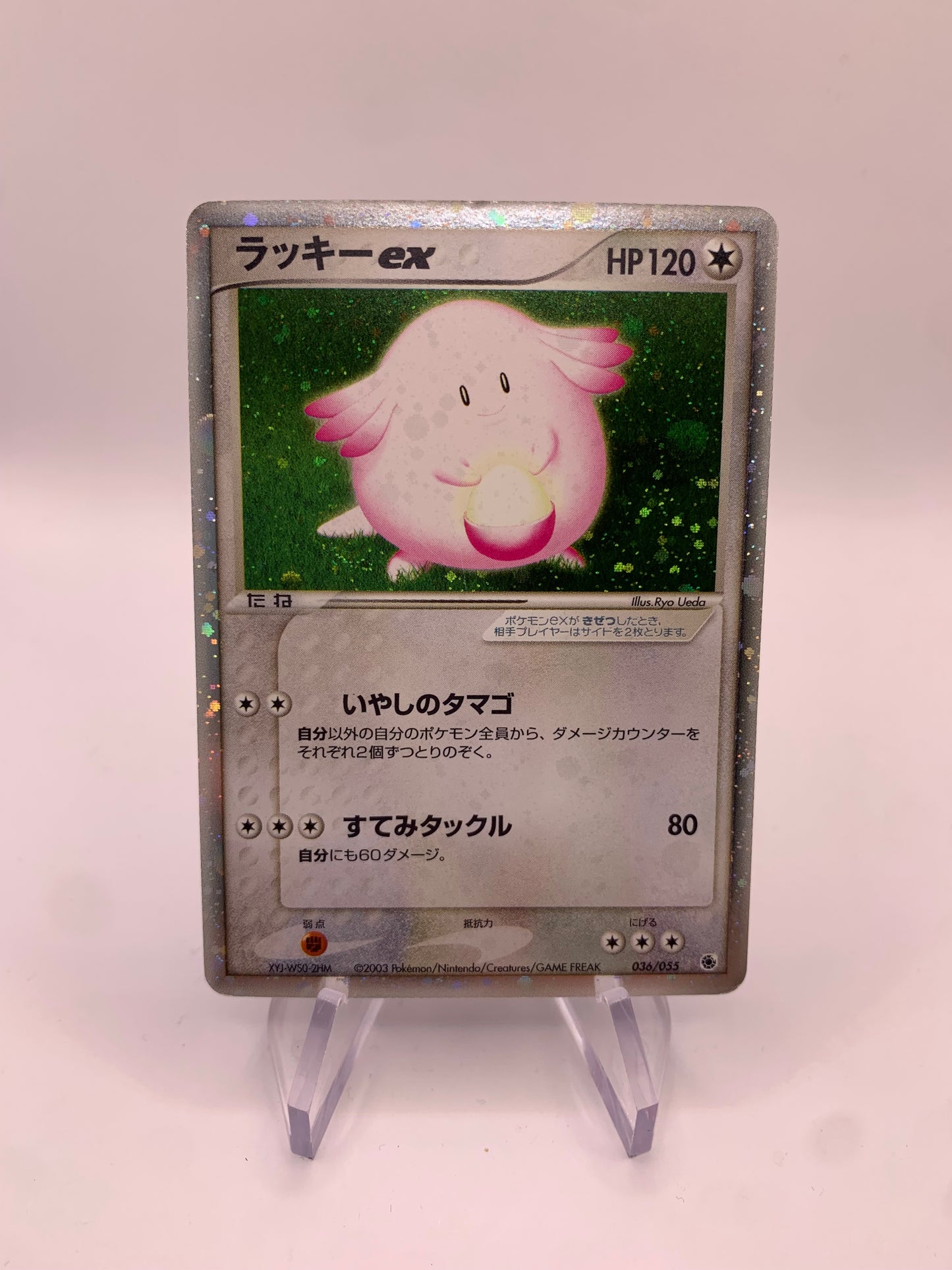 Pokemon Karte EX Holo Chaneira 36/55 Japanisch