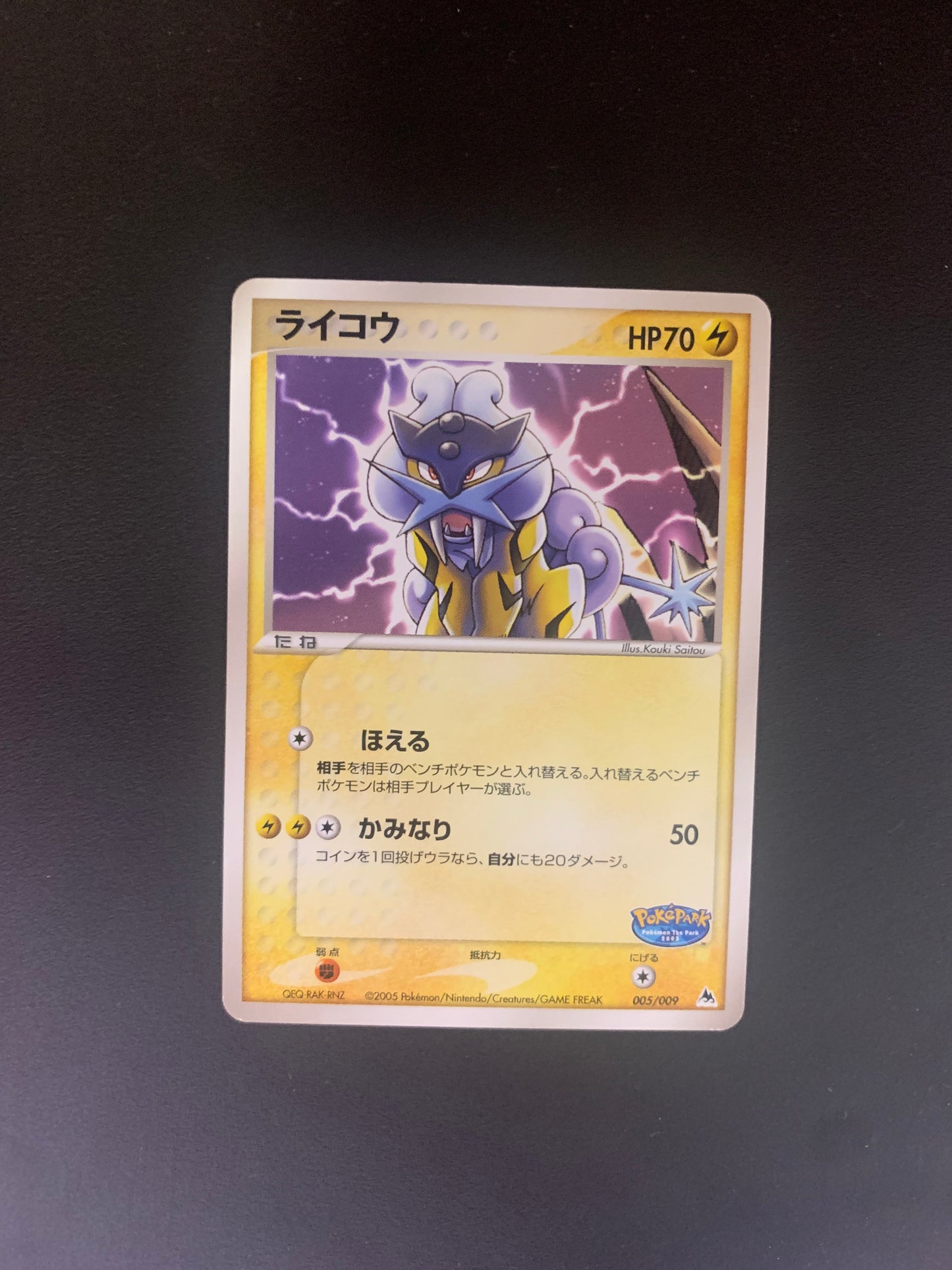 Pokemon Karte PokePark Raikou 5/9 Japanisch