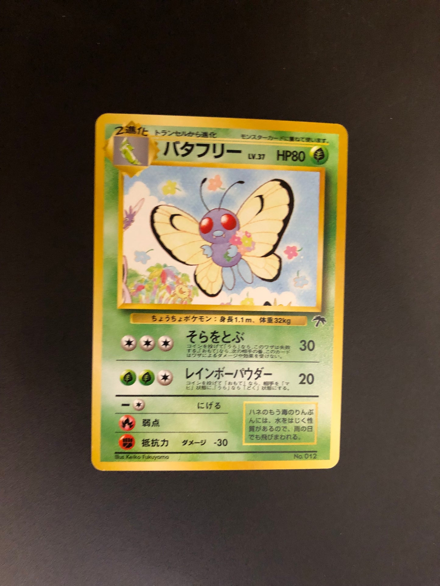 Pokemon Karte Southern Island Butterfree No.12 Japanisch