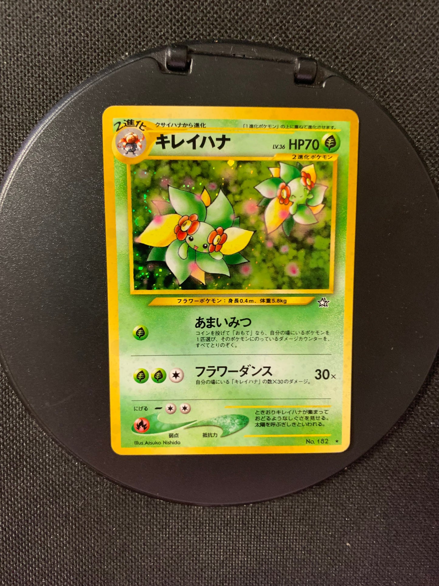 Pokemon Karte Holo Blubella No.182 Japnisch