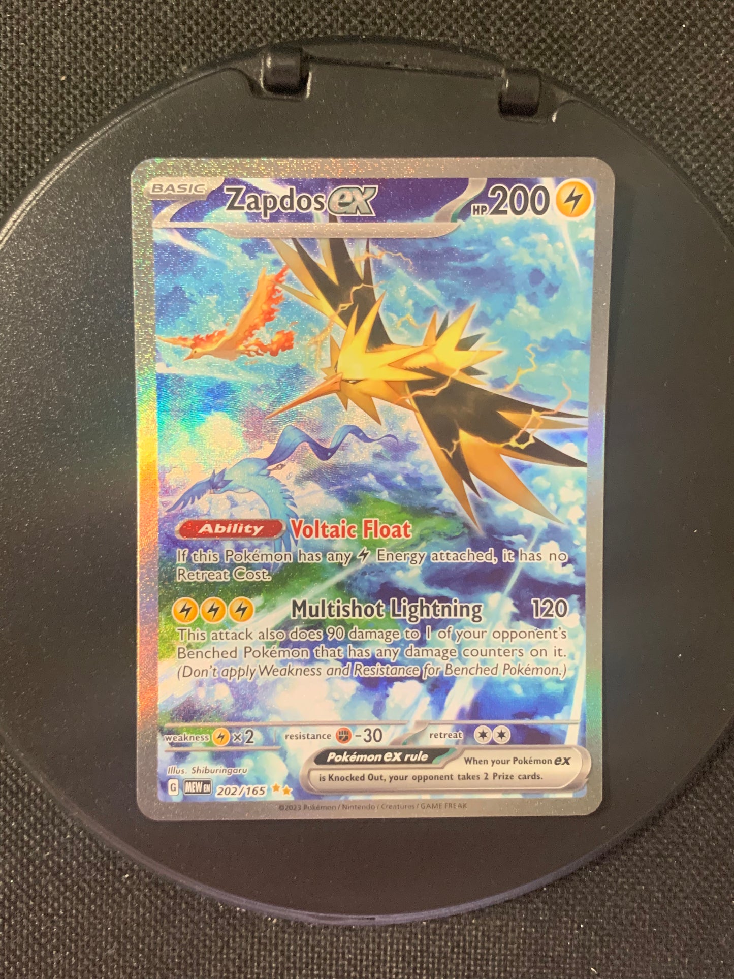 Pokemon card ex alt-art Zapdos 202/165 English