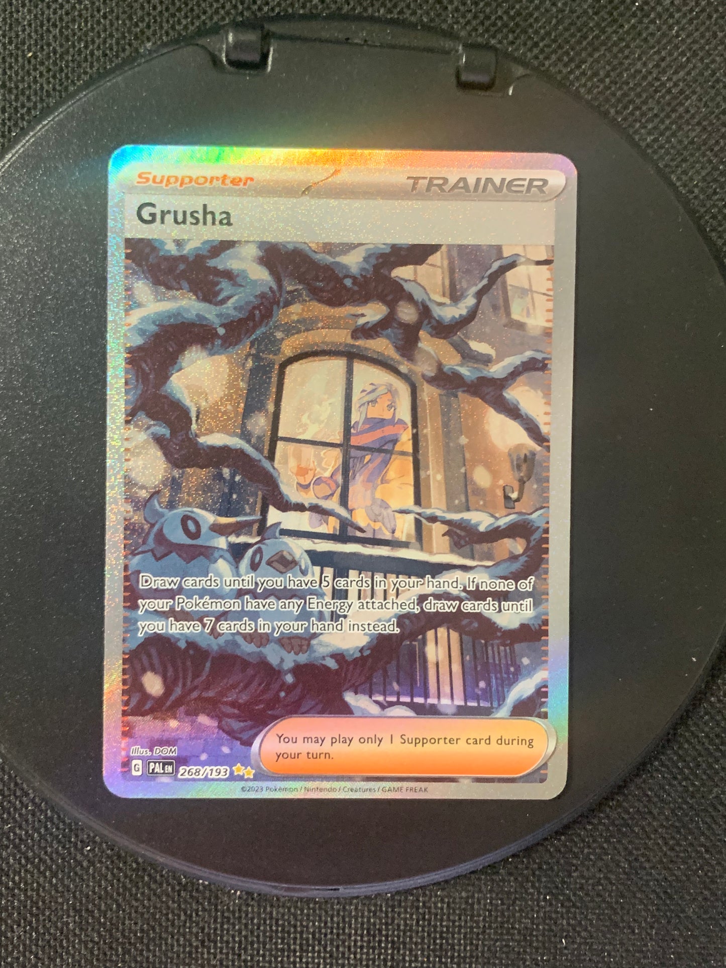 Pokemon Karte Trainer Alt-Art Grusha 268/193 Englisch