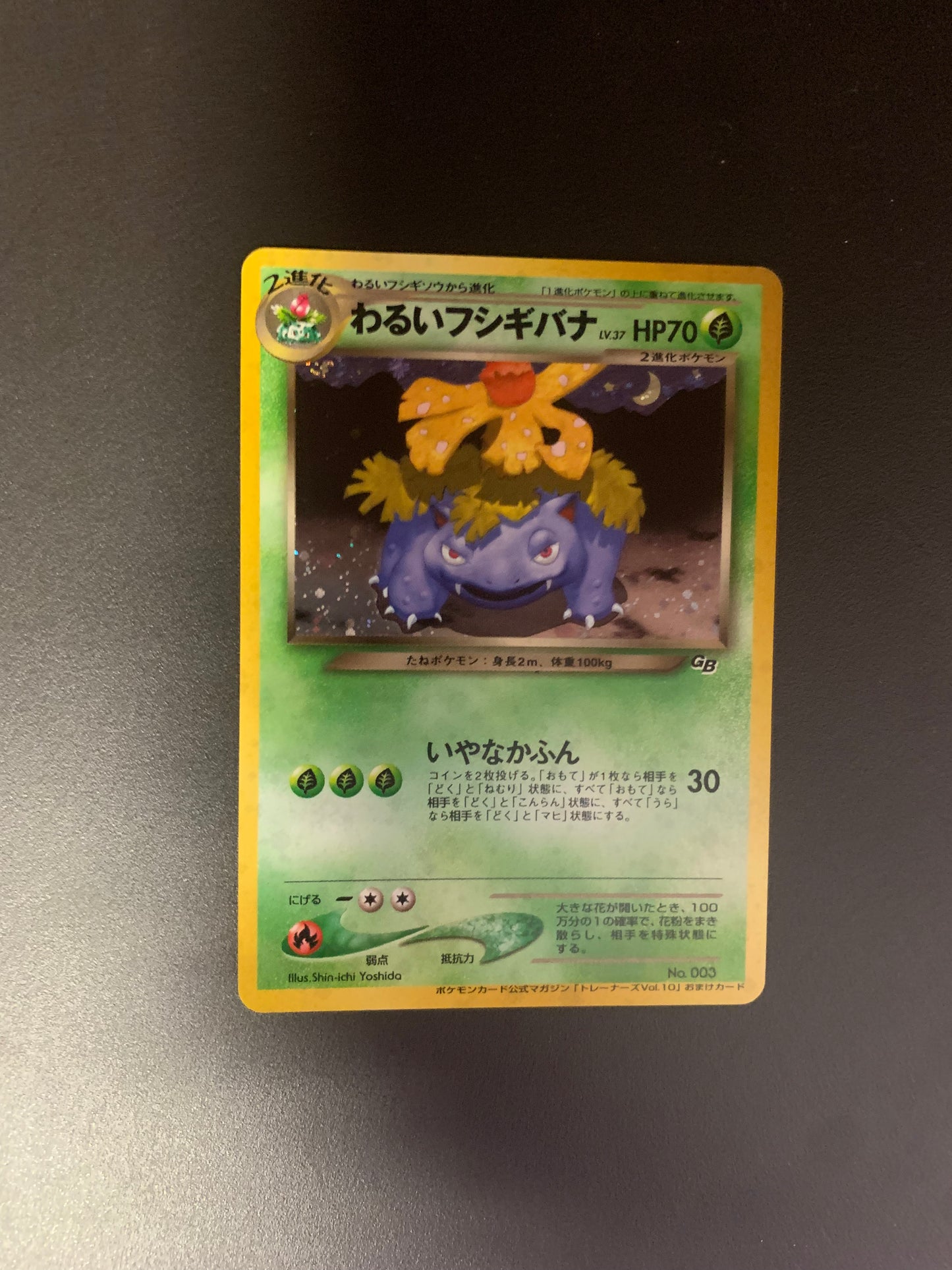 Pokemon Karte Holo Dunkles Bisaflor No.3 Japanisch