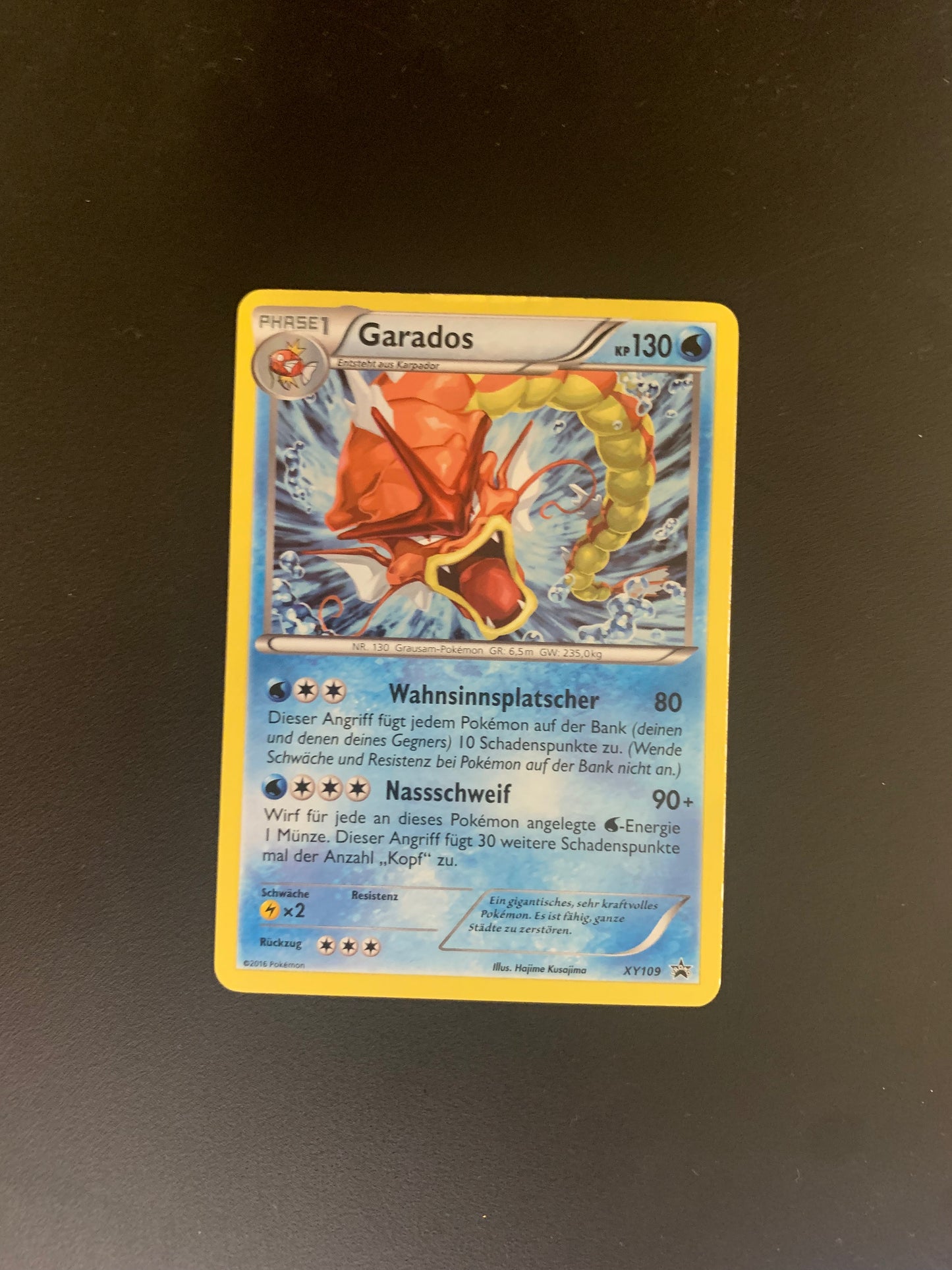 Pokemon Karte Shiny Promo Garados XY109 Deutsch