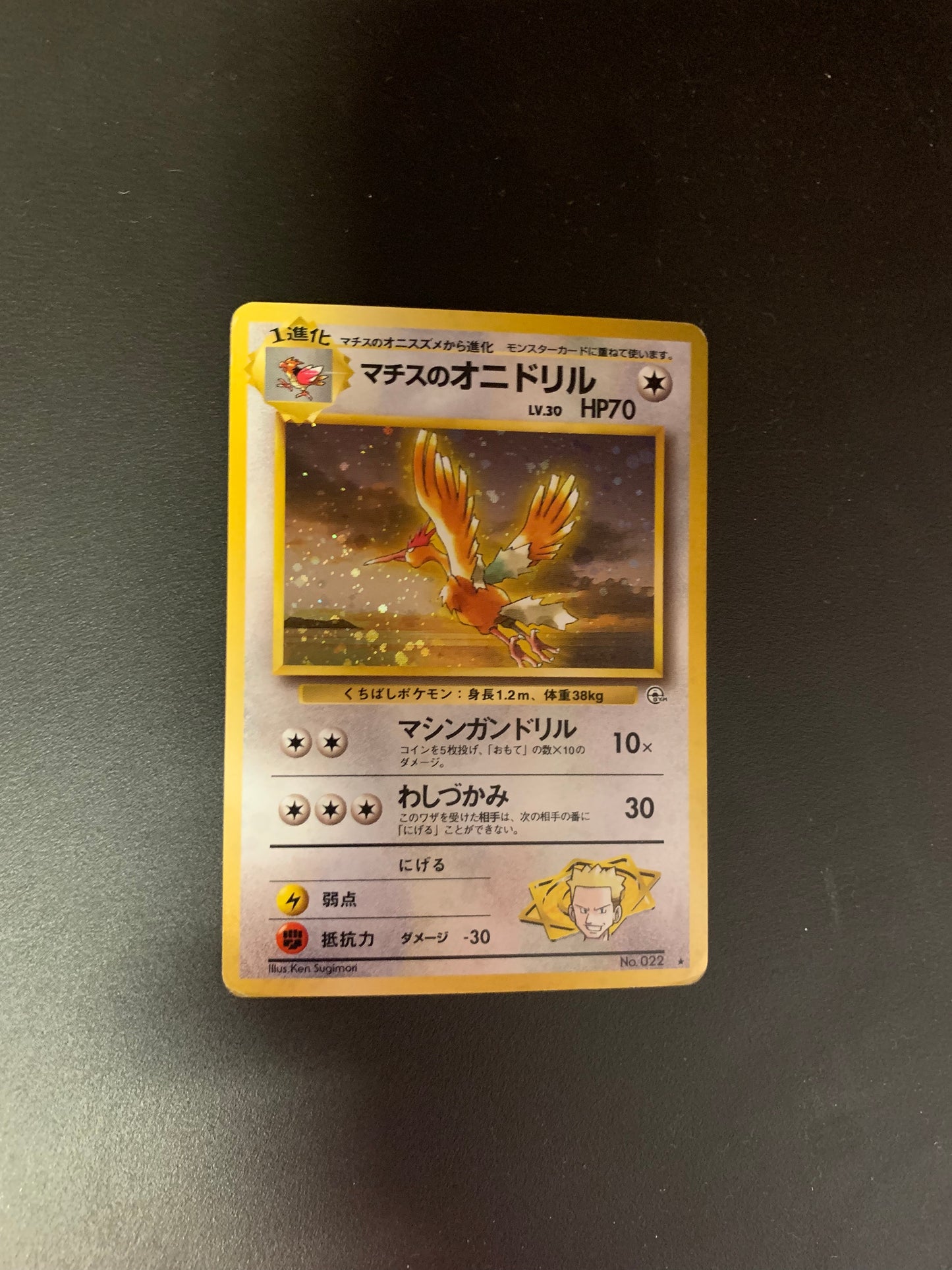 Pokemon Karte Holo Major Bob Ibitak No.22 Japanisch