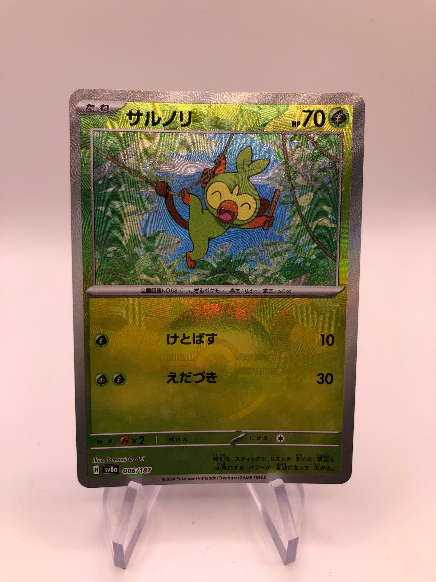 Pokemon Karte Revers Grookey 6/187 Japanisch
