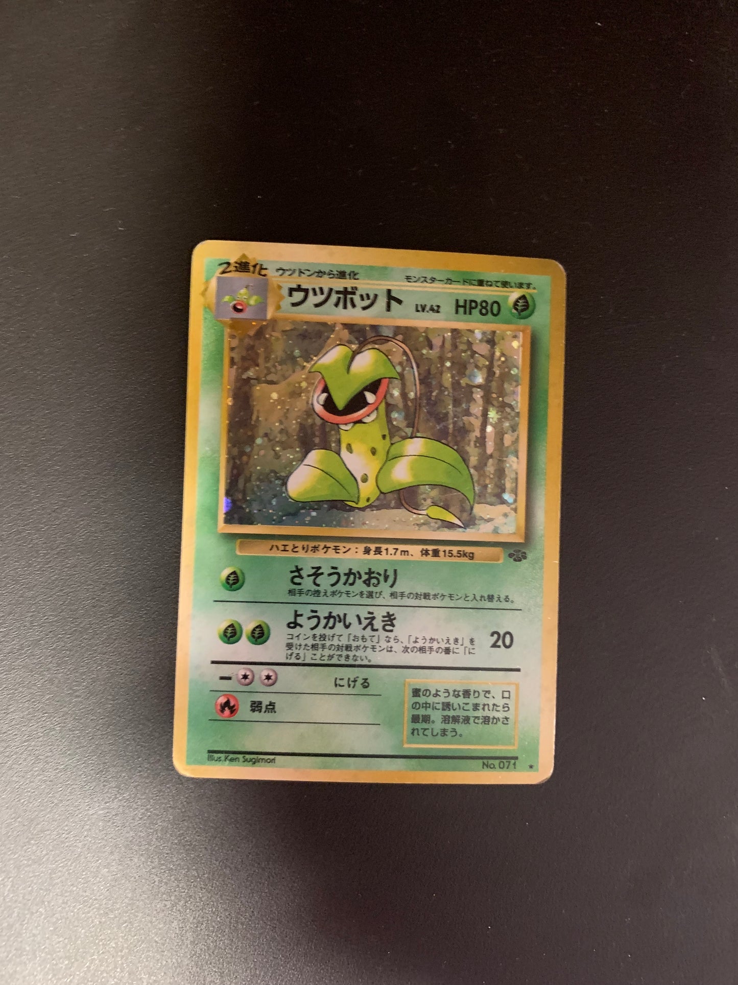 Pokemon Karte Holo Sarzenia No.71 Japanisch