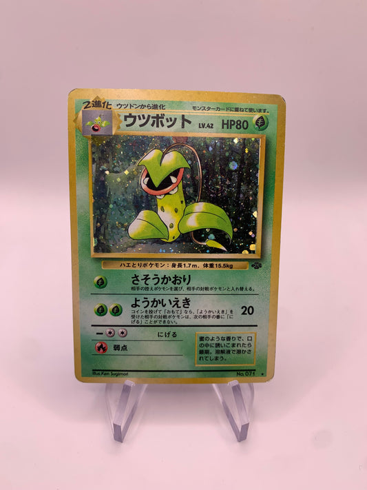 Pokemon Karte Holo Sarzenia No.71 Japanisch