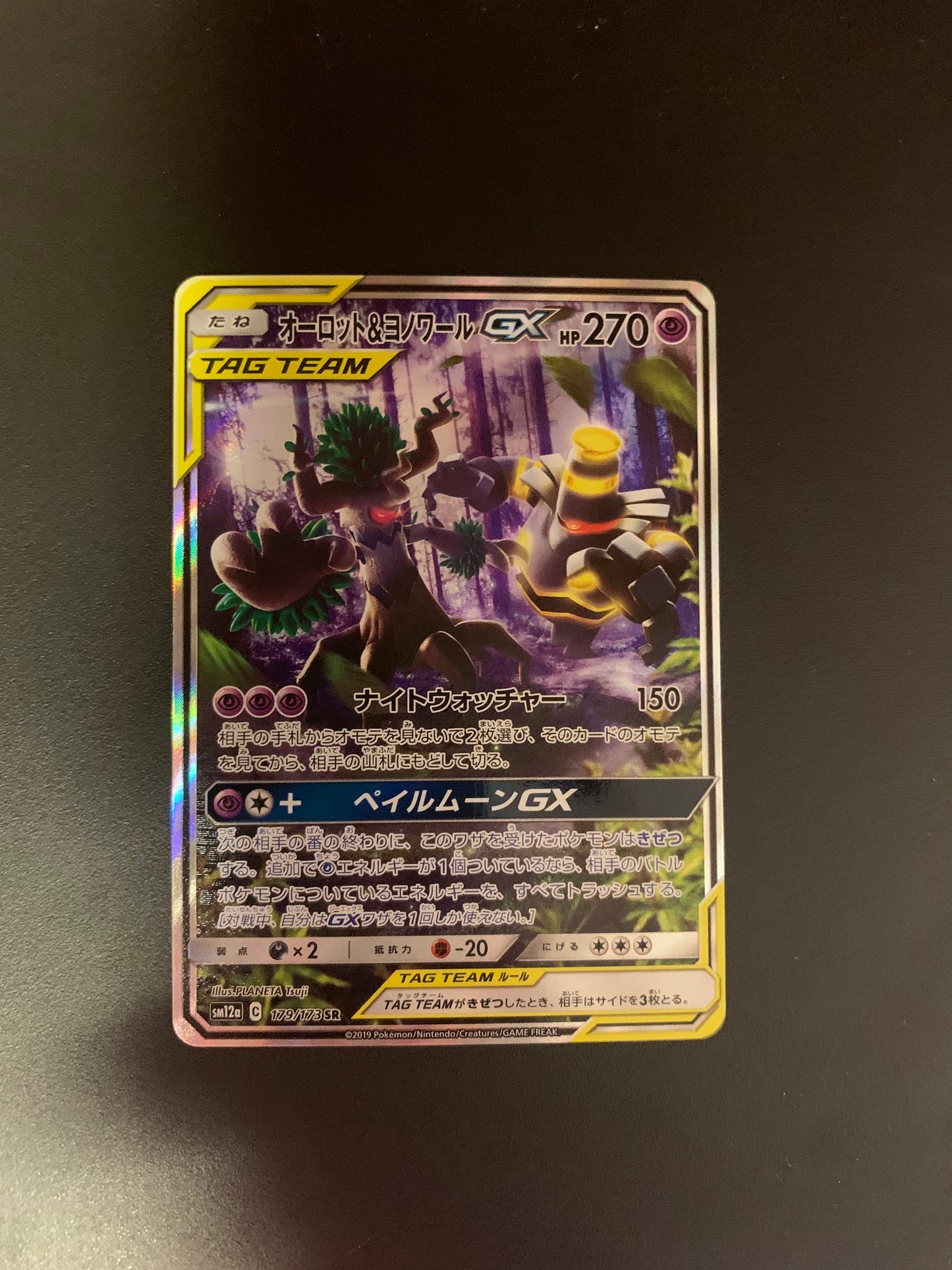 Pokemon Karte Alt Art Tag Team Trombork&Zwirrfinst 179/173 Japanisch