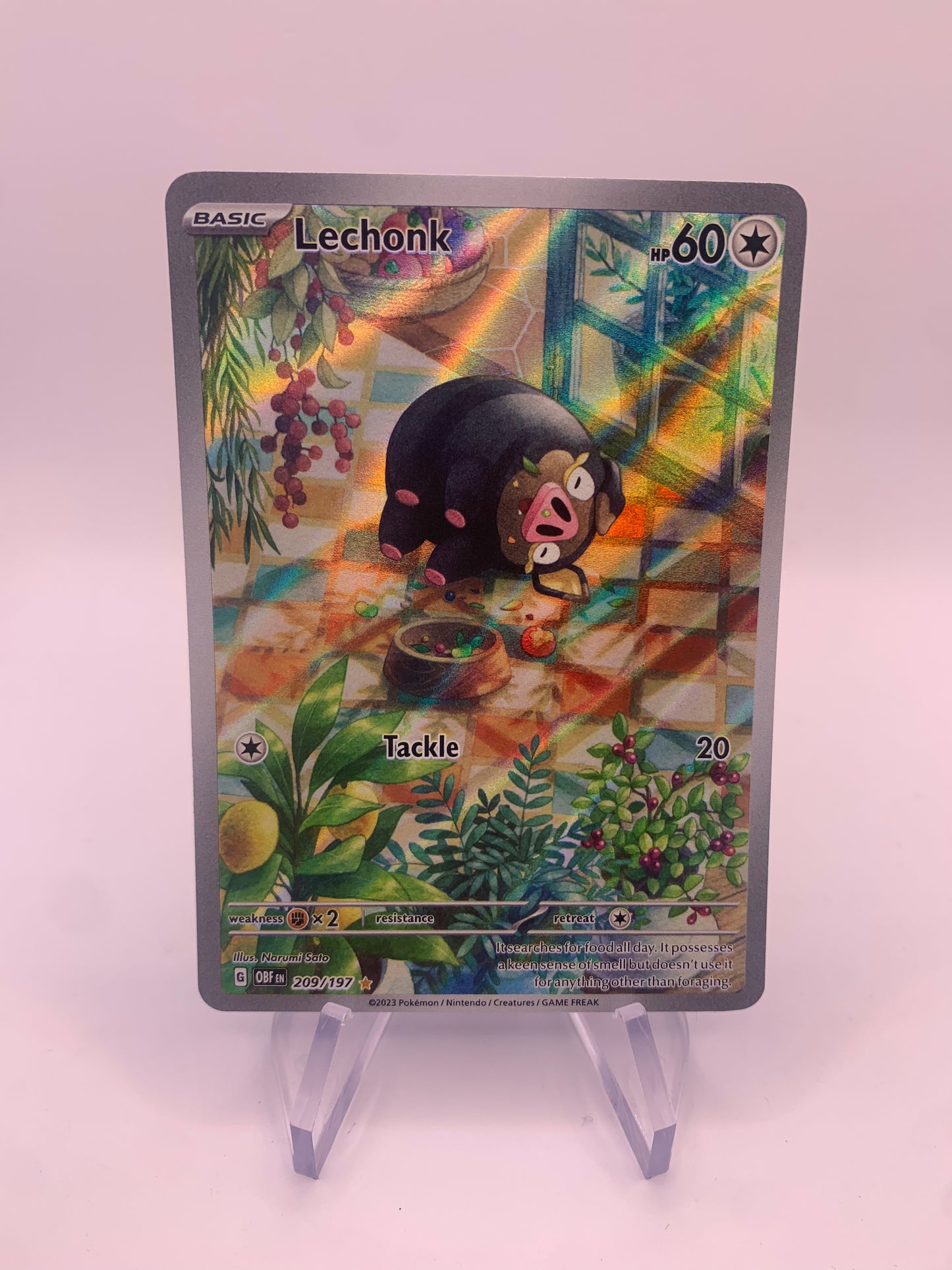 Pokemon card Ferkuli 209/197 English