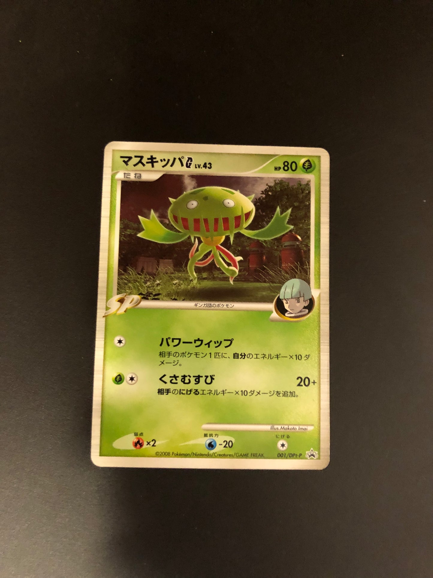 Pokemon Karte Unnumbered Promo Venuflibis 1/DPt-P Japanisch