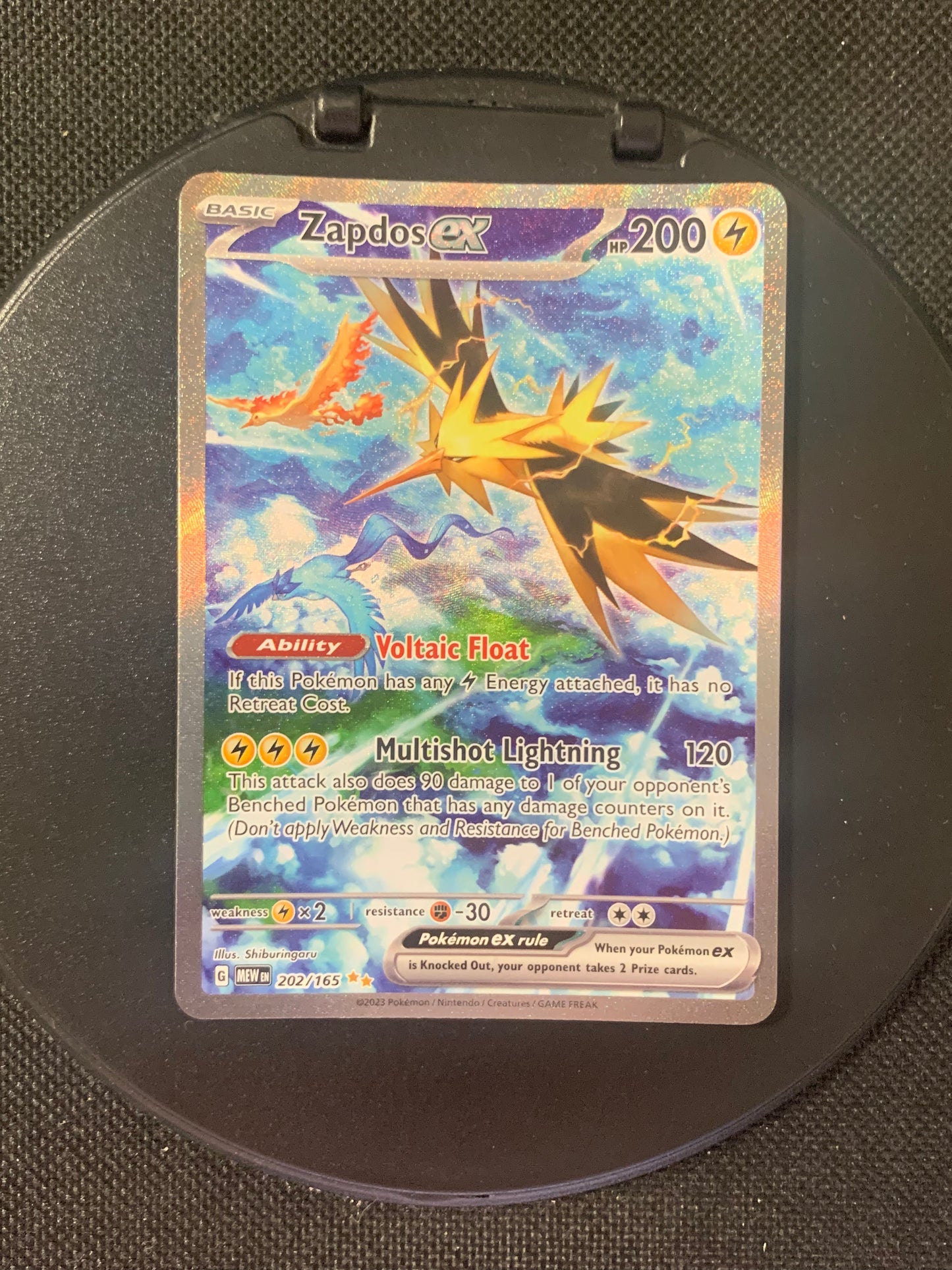 Pokemon Karte ex Alt-Art Zapdos 202/165 Englisch