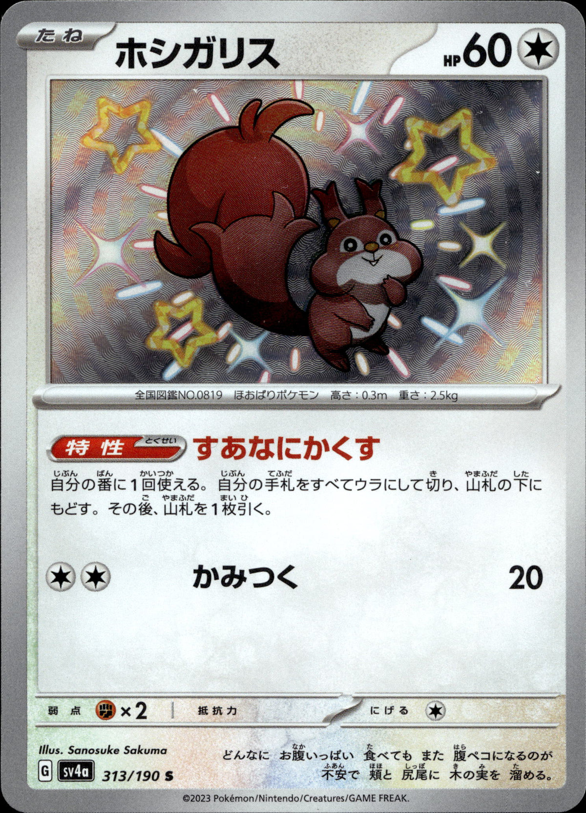 Raffel 313/190 Shiny Japanisch – Vorderseite