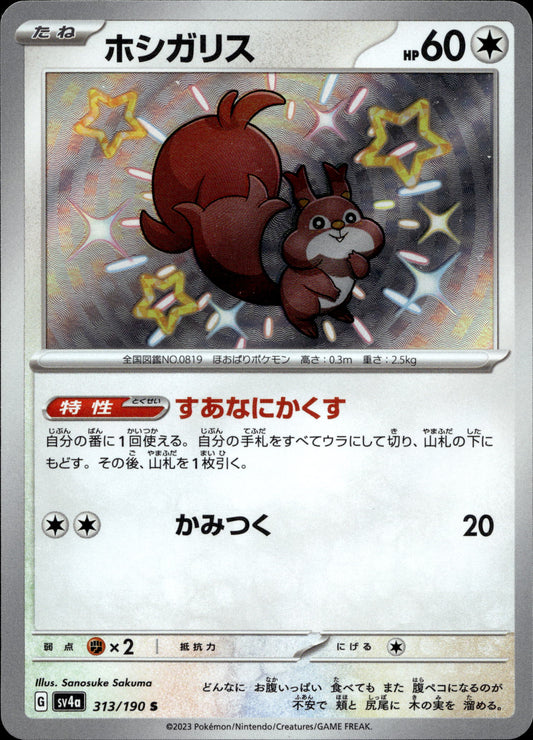 Raffel 313/190 Shiny Japanisch – Vorderseite