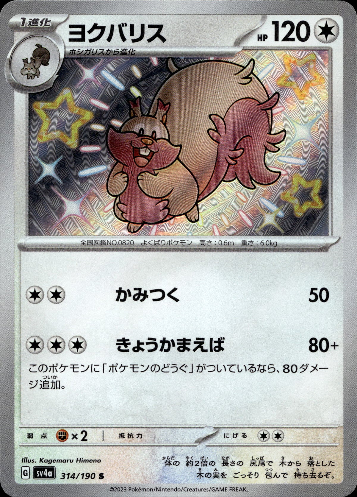 Schlaraffel 314/190 Shiny Japanisch – Vorderseite