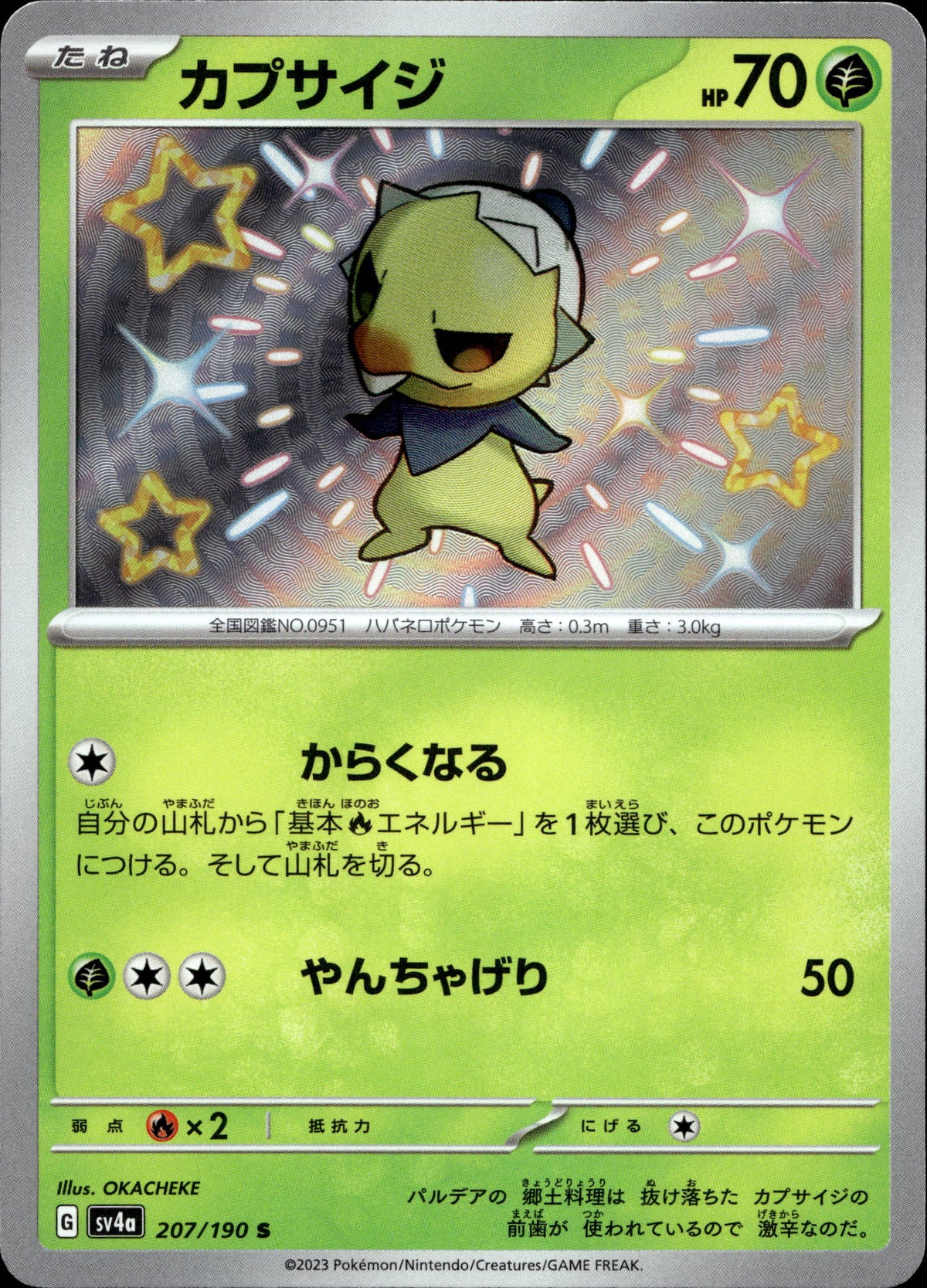 Chilingel 207/190 Shiny Japanisch – Vorderseite