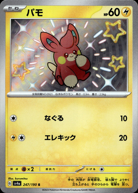 Pamo 247/190 Shiny Japanisch – Vorderseite
