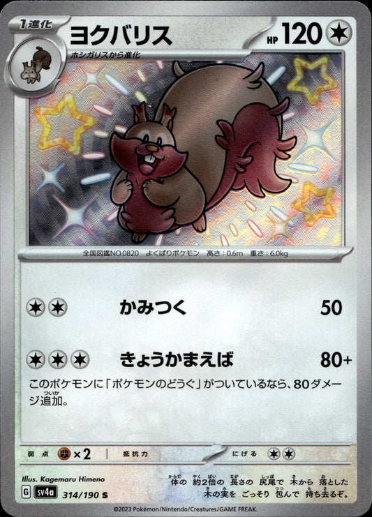 Schlaraffel 314/190 Shiny Japanisch – Vorderseite