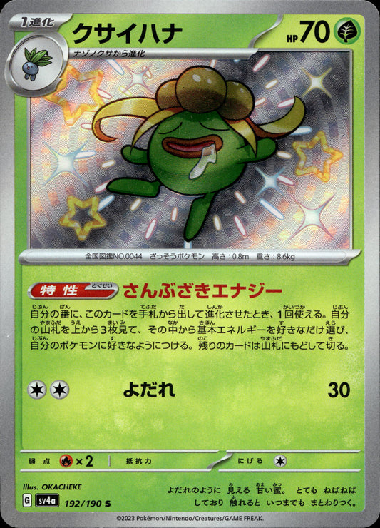 Duflor 192/190 Shiny Japanisch – Vorderseite