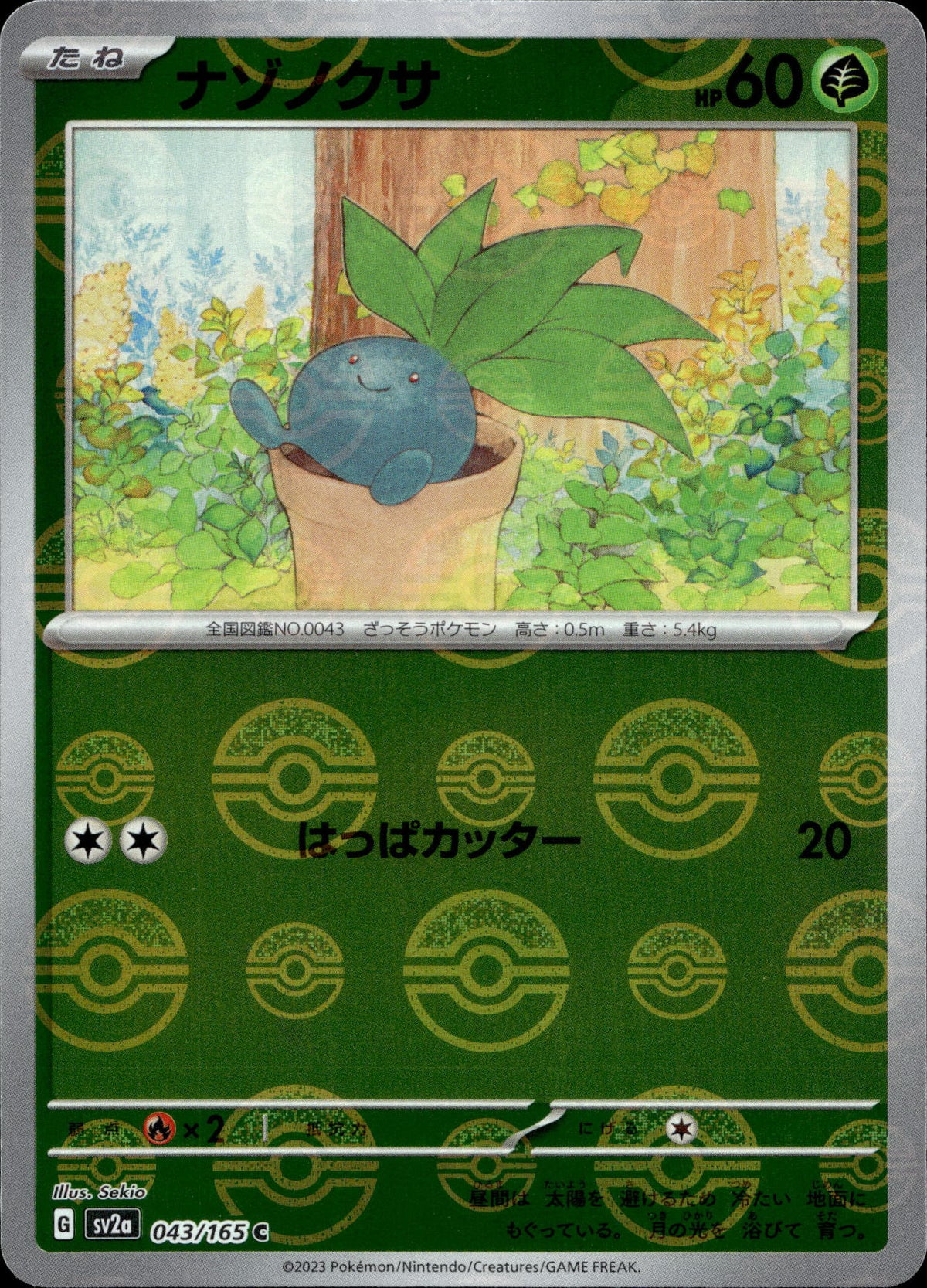 Myrapla 43/165 Pokeball Reverse Japanisch – Vorderseite